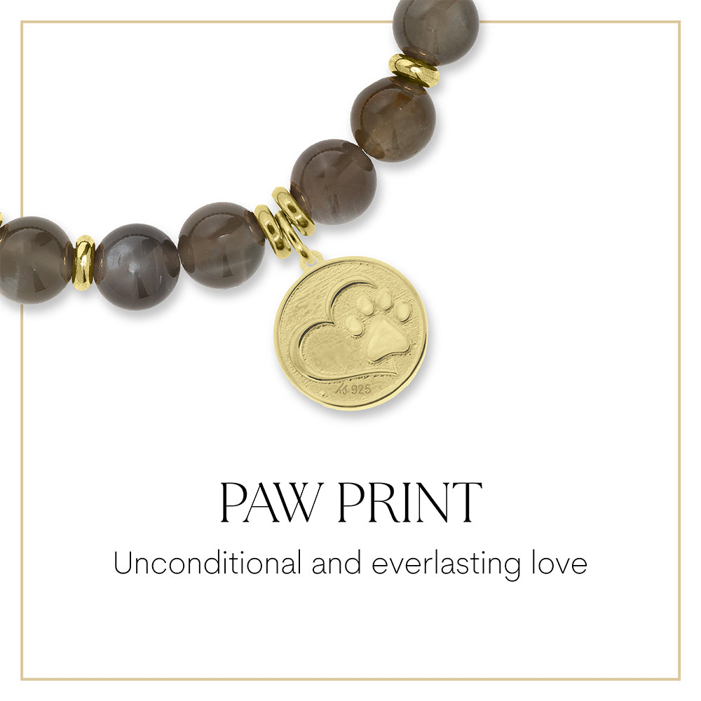 Gold Paw Print Charm Bracelet Collection
