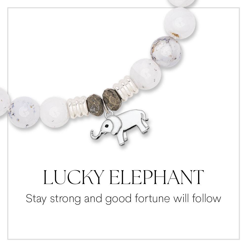 Lucky Elephant Cutout Sterling Silver Charm Bracelet Collection