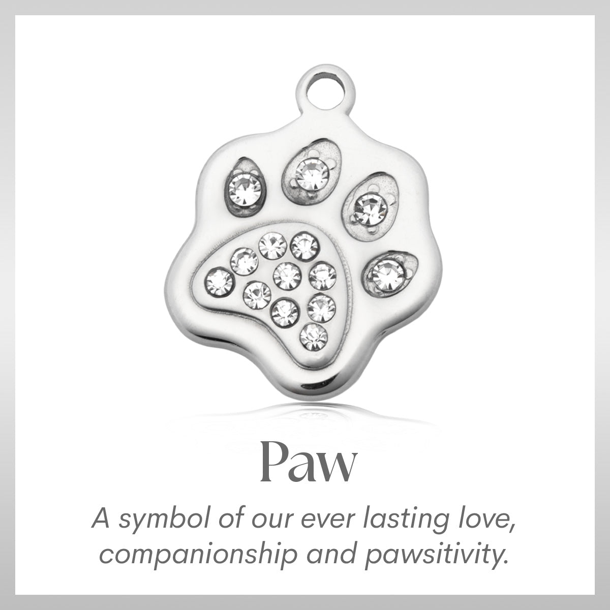 Paw CZ Charm Bracelet Collection