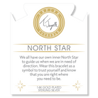Gold Charm Collection - Robins Egg Agate Gemstone Bracelet with North Star Gold Charm