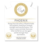 Gold Charm Collection - Robins Egg Agate Gemstone Bracelet with Phoenix Gold Charm