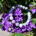 Limited Edition Live Shopping Special Bracelet #19