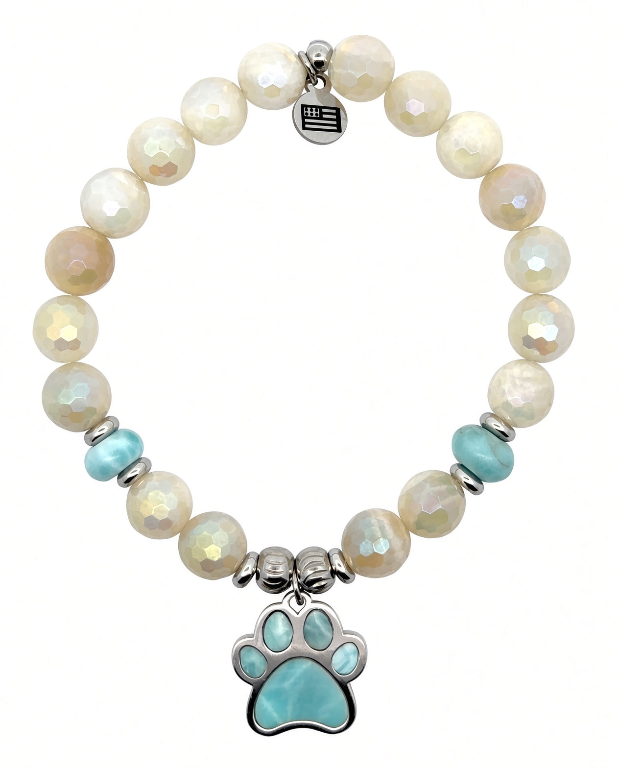 National Dog Day Exclusive with Larimar Sterling Silver Paw Charm & Moonstone Gemstone Bracelet